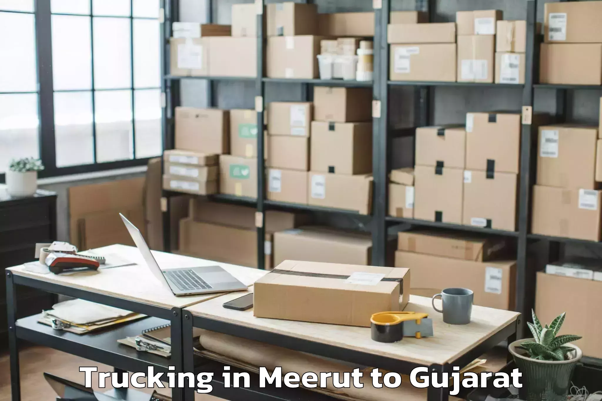 Book Meerut to Radhanpur Trucking Online